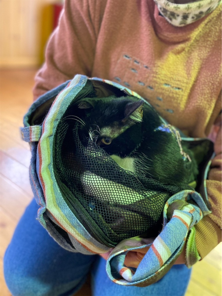f:id:sakaivet2019:20220519160240j:image f:id:sakaivet2019:20220519160240j:image