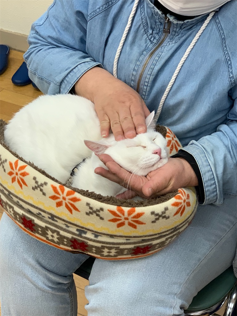 f:id:sakaivet2019:20220519170056j:image f:id:sakaivet2019:20220519170056j:image