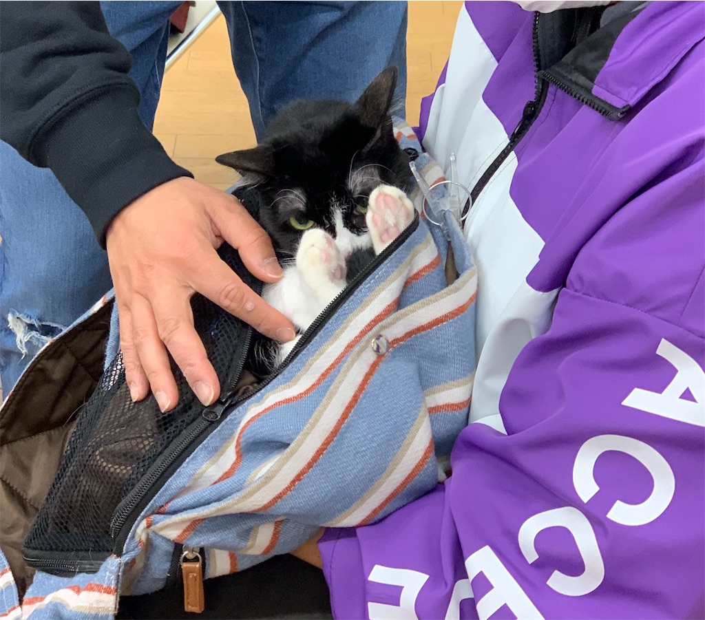f:id:sakaivet2019:20220519170059j:image f:id:sakaivet2019:20220519170059j:image