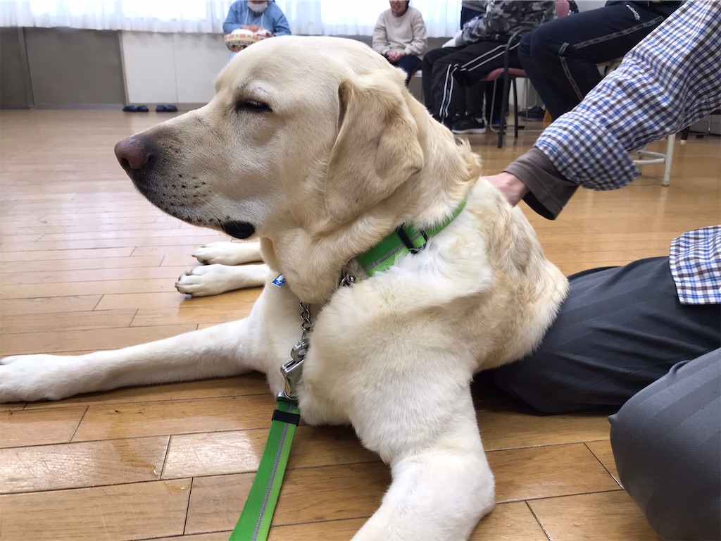 f:id:sakaivet2019:20220519170307j:image f:id:sakaivet2019:20220519170307j:image