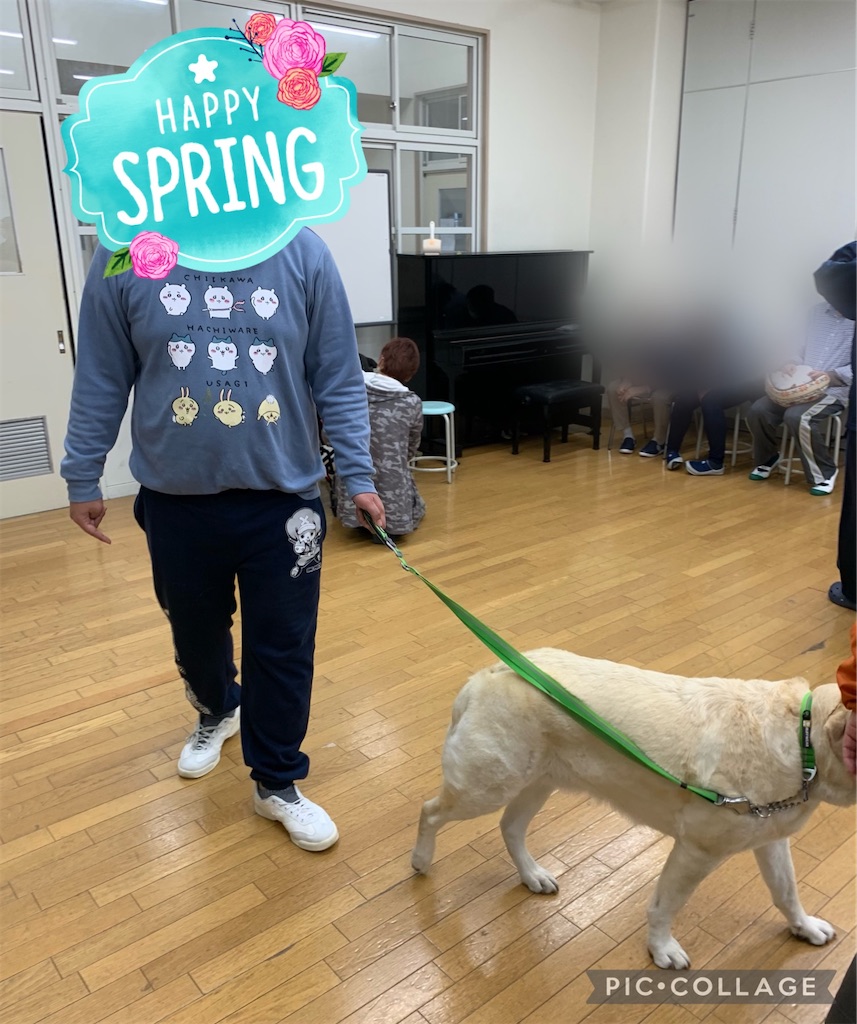 f:id:sakaivet2019:20220519170313j:image f:id:sakaivet2019:20220519170313j:image