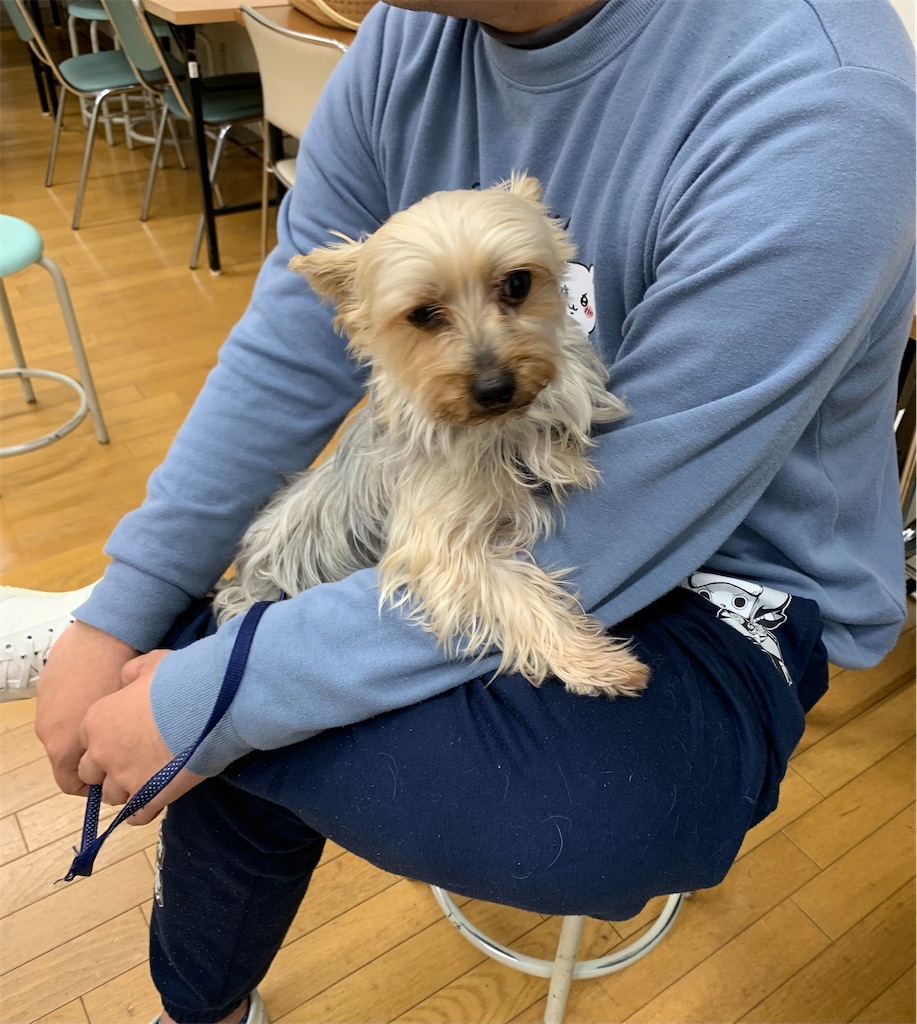f:id:sakaivet2019:20220519170316j:image f:id:sakaivet2019:20220519170316j:image