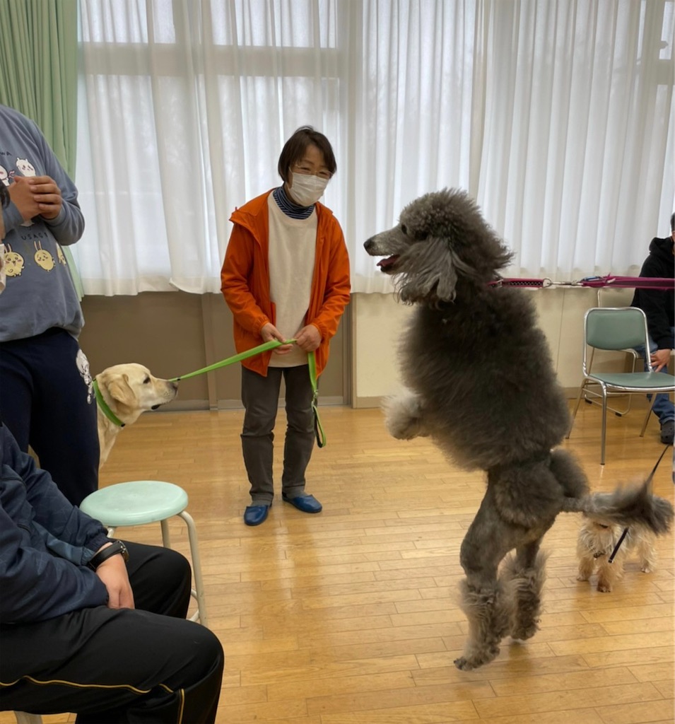f:id:sakaivet2019:20220519170319j:image f:id:sakaivet2019:20220519170319j:image
