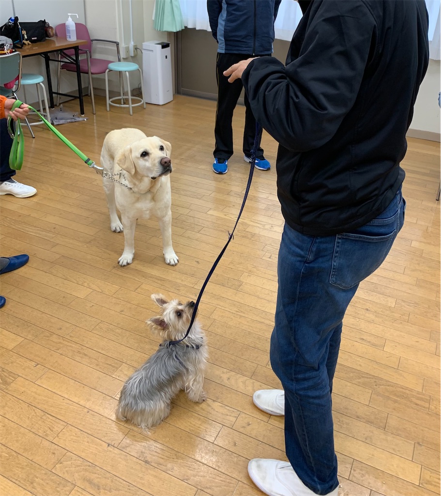 f:id:sakaivet2019:20220519170322j:image f:id:sakaivet2019:20220519170322j:image