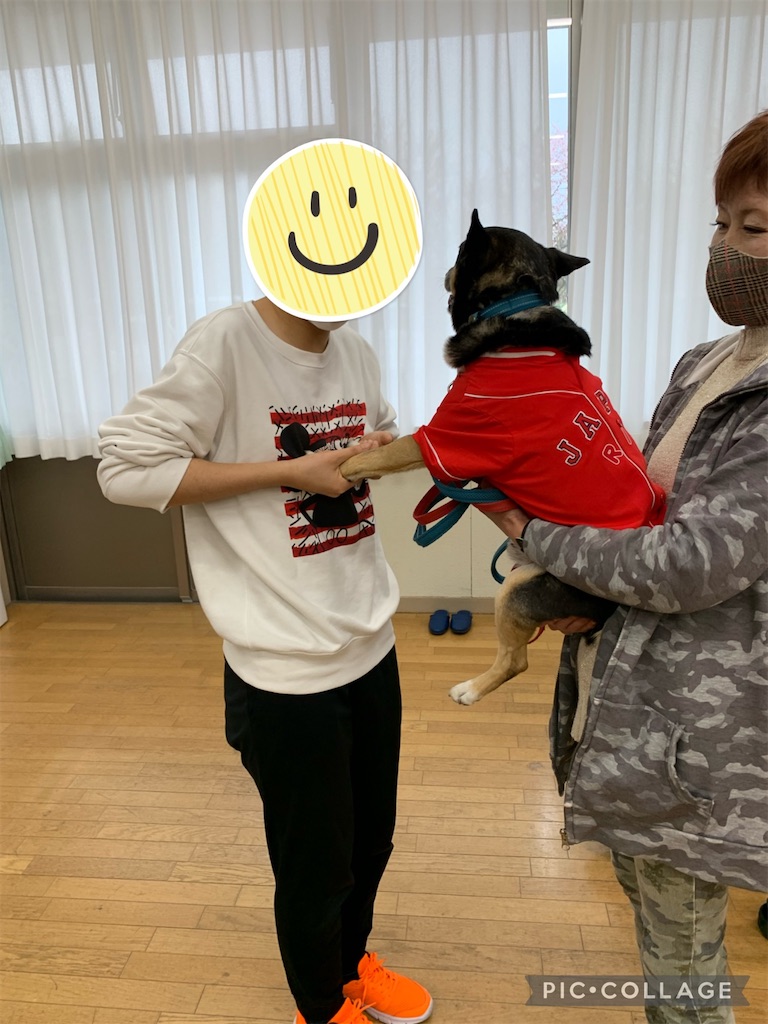 f:id:sakaivet2019:20220519170510j:image f:id:sakaivet2019:20220519170510j:image