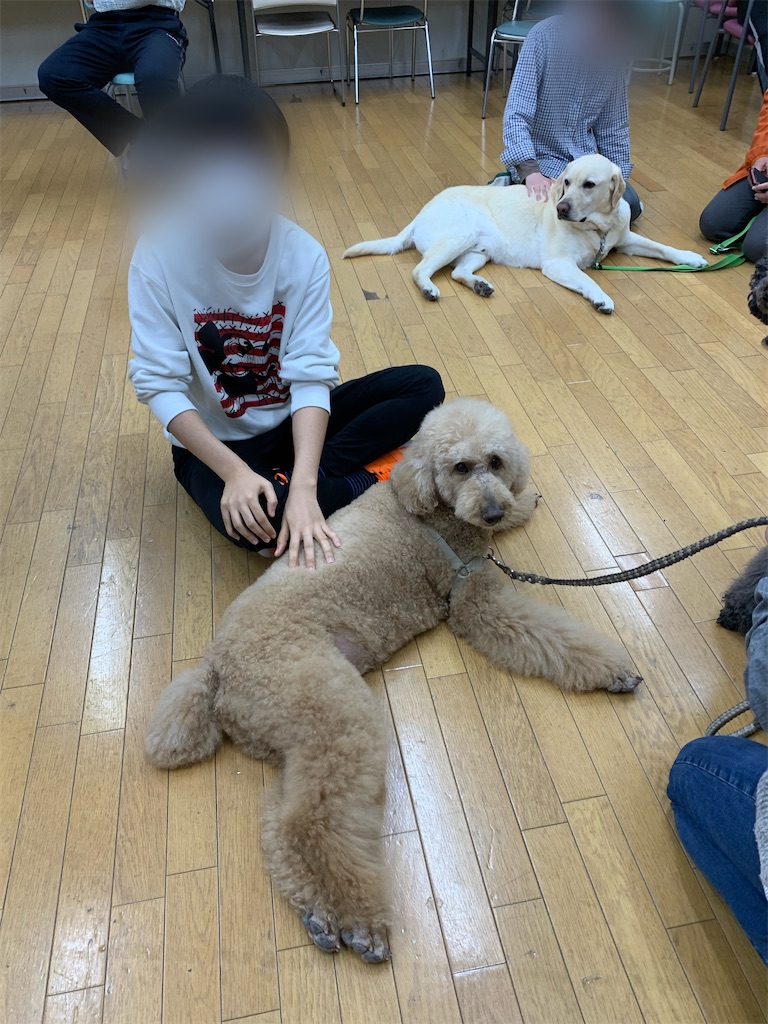f:id:sakaivet2019:20220519170605j:image f:id:sakaivet2019:20220519170605j:image