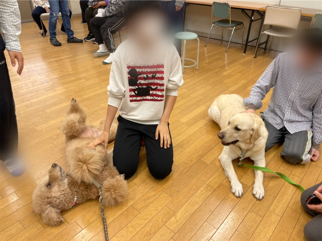 f:id:sakaivet2019:20220519170608j:image f:id:sakaivet2019:20220519170608j:image