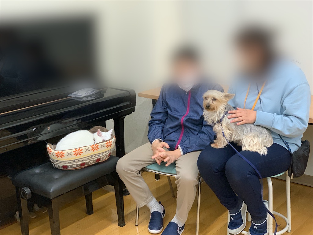 f:id:sakaivet2019:20220519170623j:image f:id:sakaivet2019:20220519170623j:image