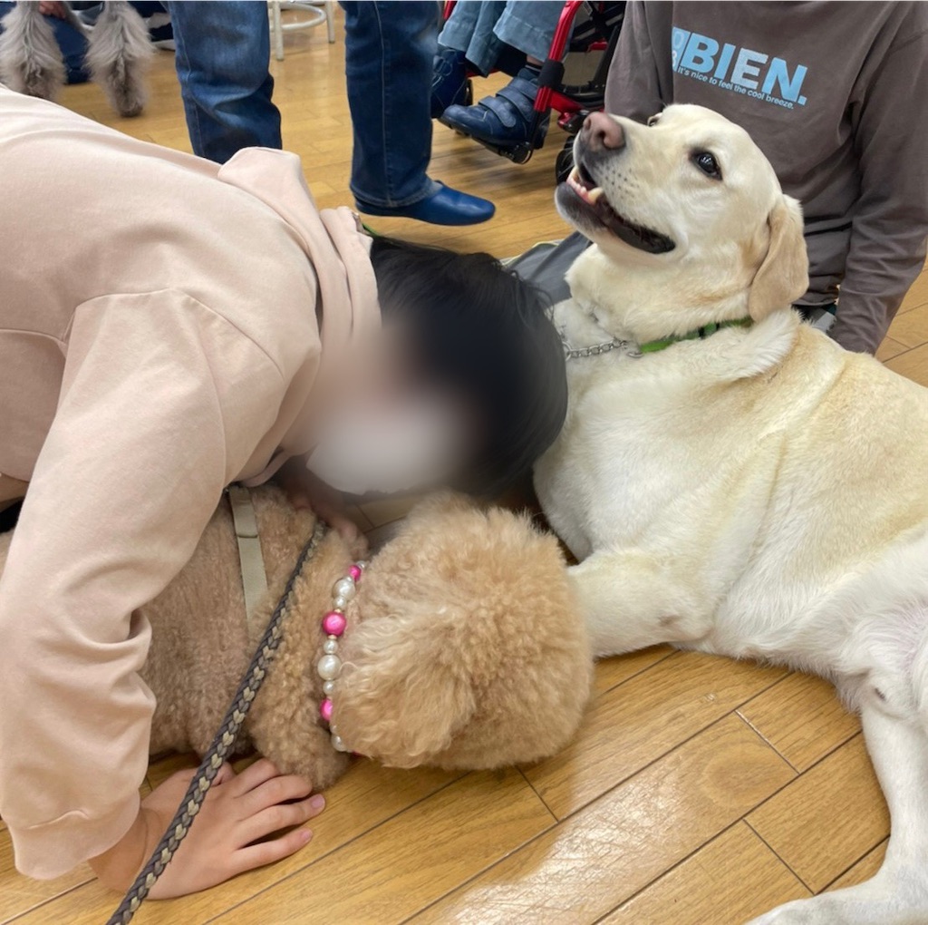 f:id:sakaivet2019:20220519181822j:image