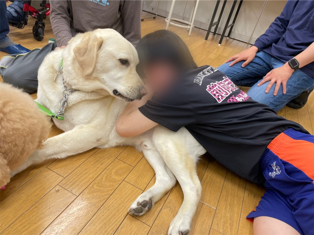 f:id:sakaivet2019:20220519181827j:image