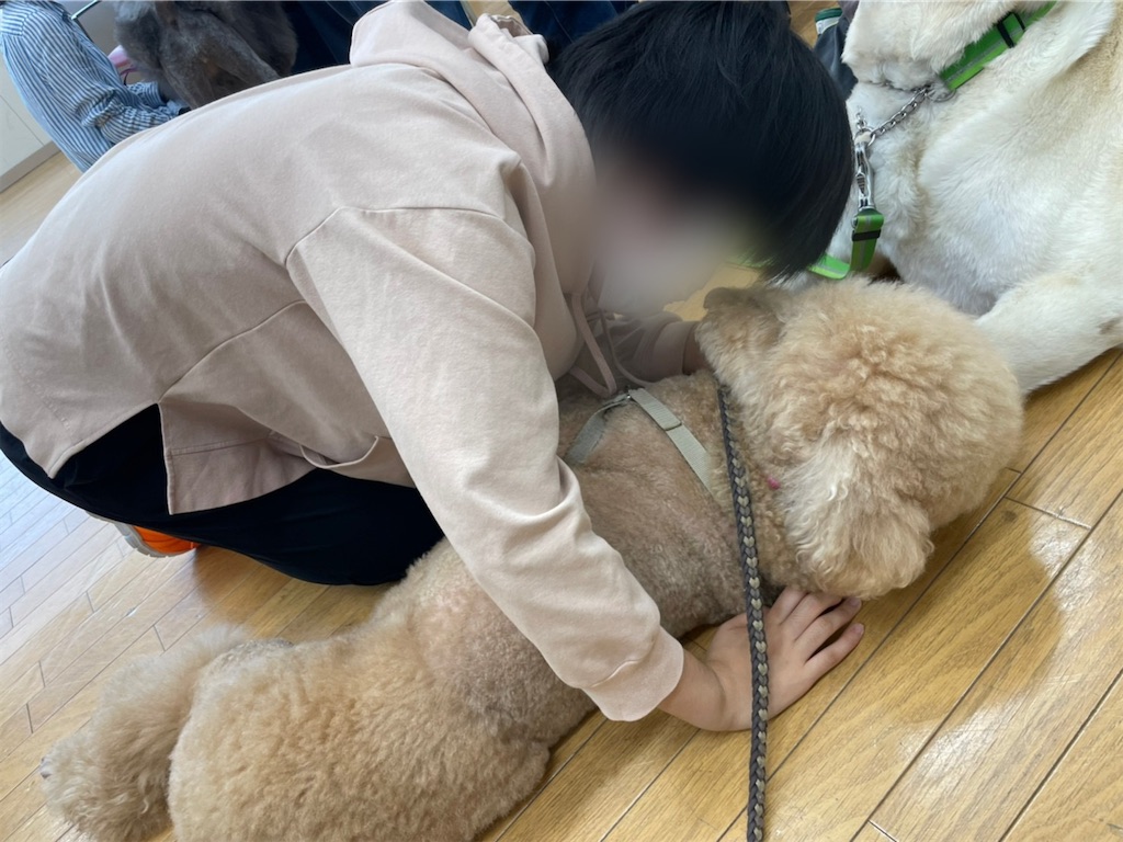 f:id:sakaivet2019:20220519181833j:image