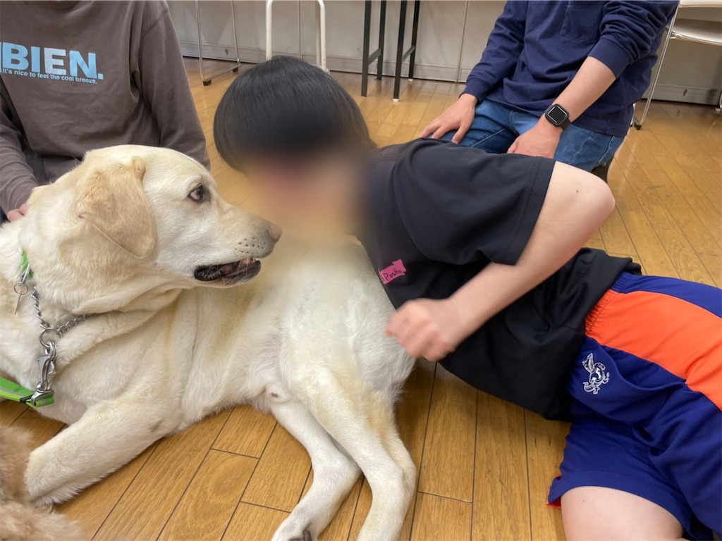 f:id:sakaivet2019:20220519181836j:image