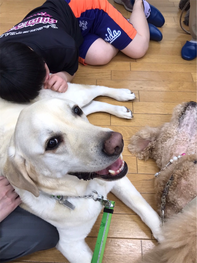 f:id:sakaivet2019:20220519182048j:image