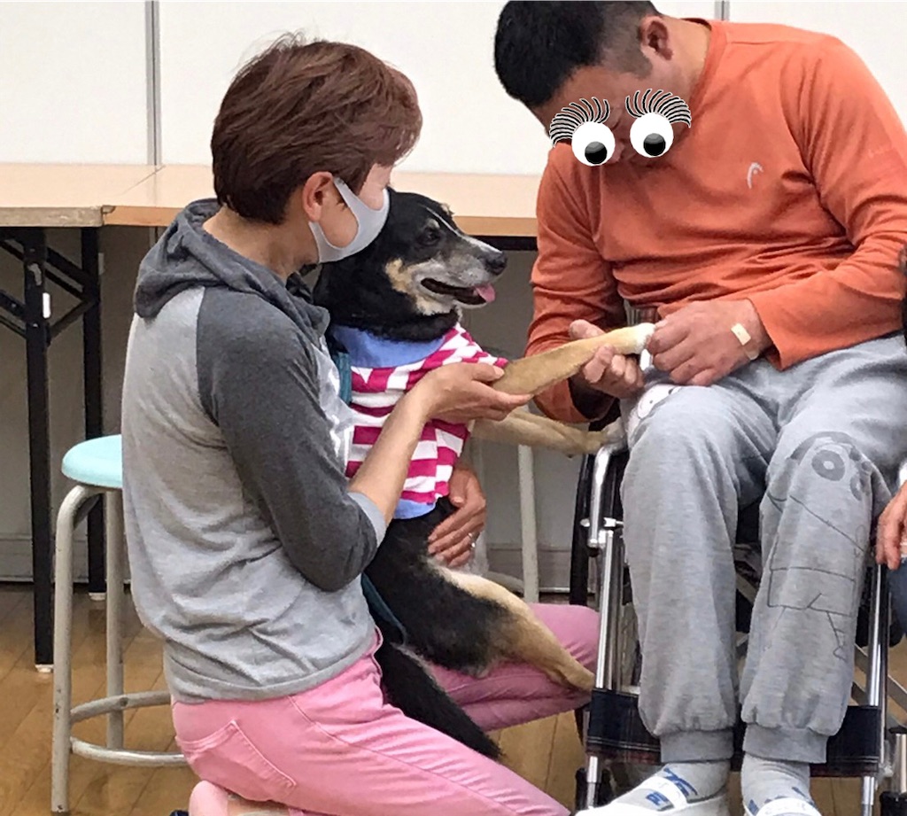 f:id:sakaivet2019:20220519182054j:image