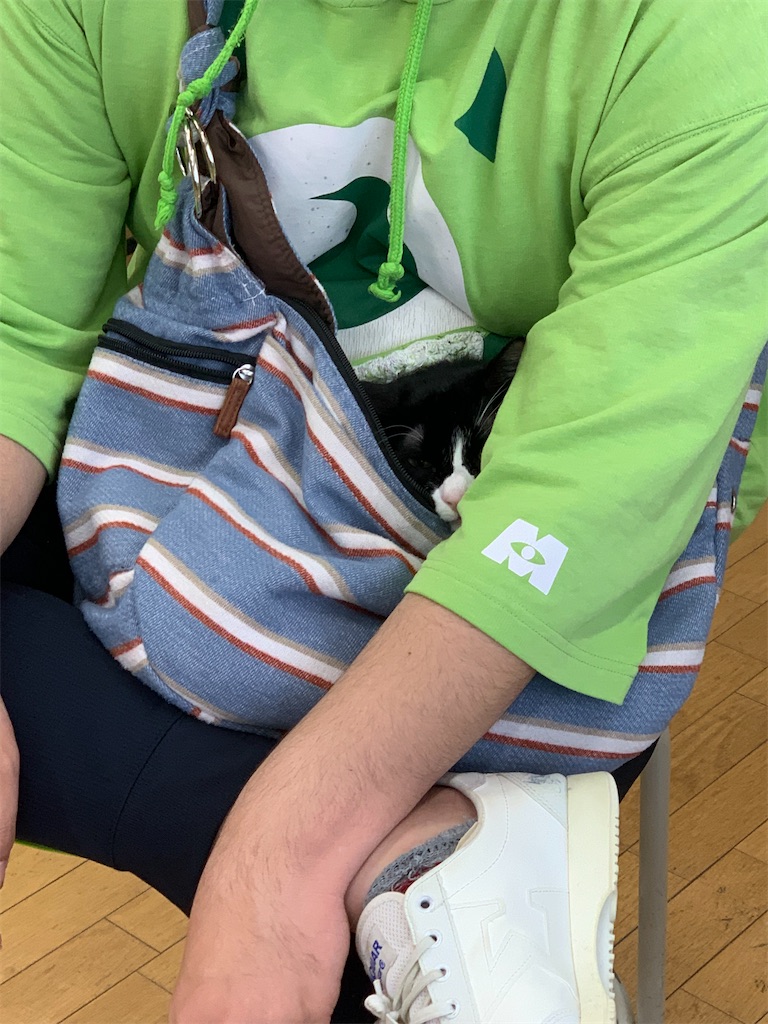 f:id:sakaivet2019:20220519182100j:image