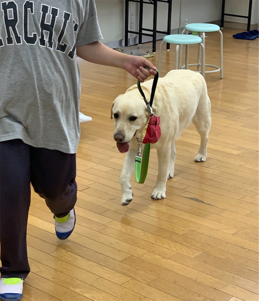 f:id:sakaivet2019:20220519182103j:image
