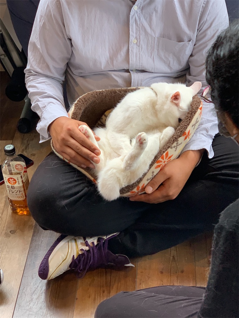 f:id:sakaivet2019:20220623164253j:image f:id:sakaivet2019:20220623164253j:image