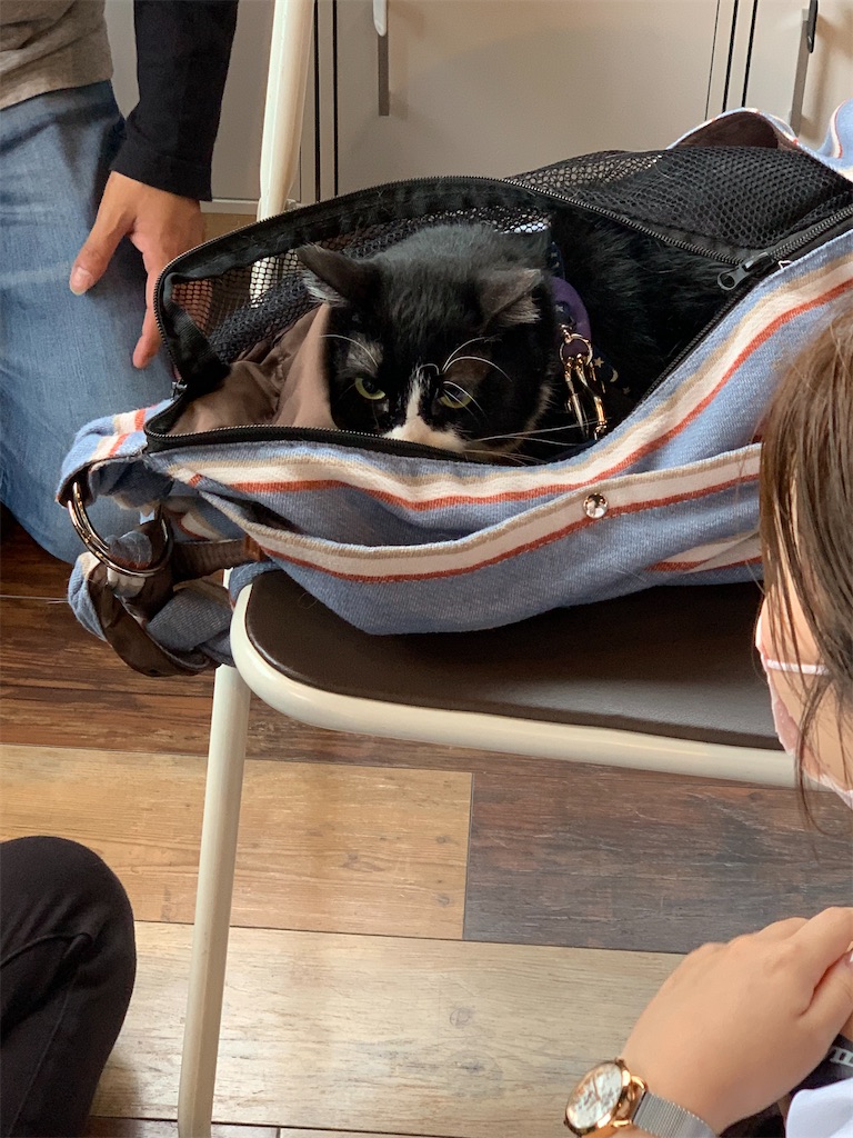 f:id:sakaivet2019:20220623164258j:image f:id:sakaivet2019:20220623164258j:image