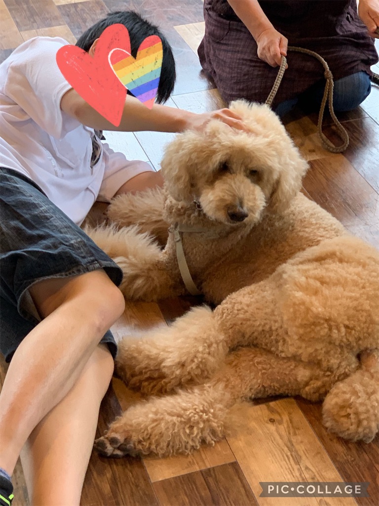 f:id:sakaivet2019:20220623164445j:image f:id:sakaivet2019:20220623164445j:image