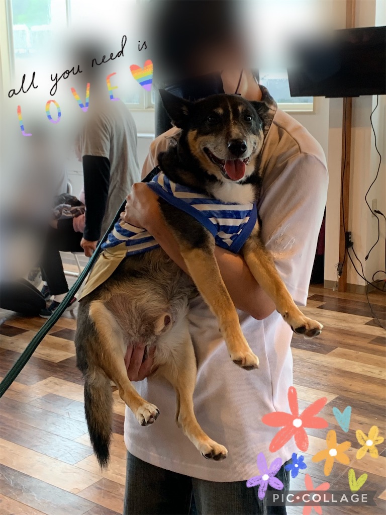 f:id:sakaivet2019:20220623164454j:image f:id:sakaivet2019:20220623164454j:image