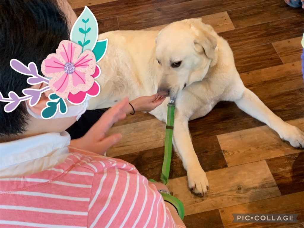 f:id:sakaivet2019:20220623164457j:image f:id:sakaivet2019:20220623164457j:image