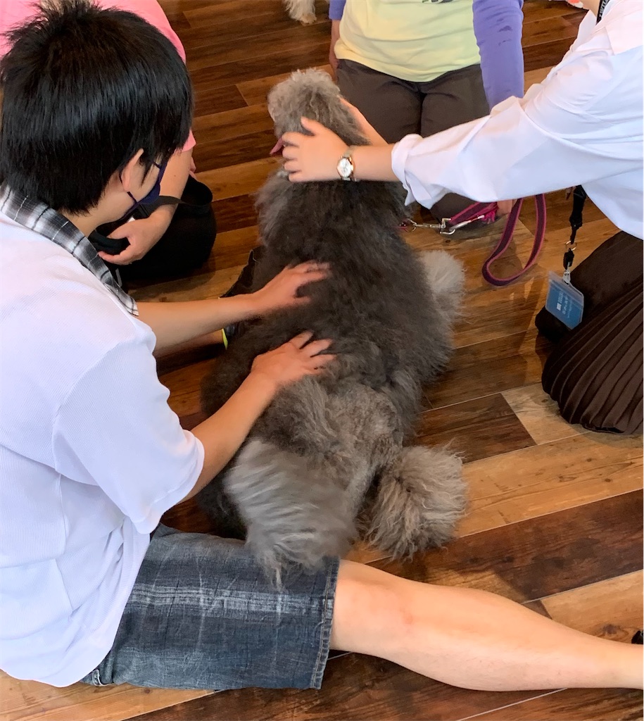 f:id:sakaivet2019:20220623164526j:image f:id:sakaivet2019:20220623164526j:image