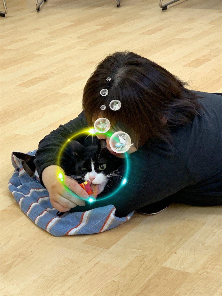 f:id:sakaivet2019:20220623181951j:image f:id:sakaivet2019:20220623181951j:image