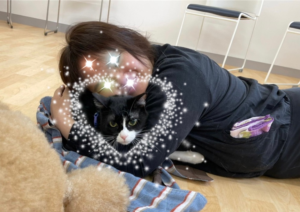 f:id:sakaivet2019:20220623181954j:image f:id:sakaivet2019:20220623181954j:image