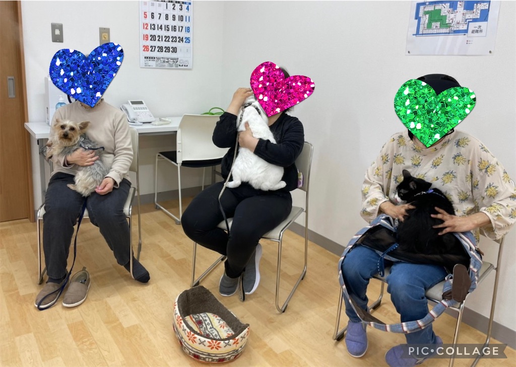 f:id:sakaivet2019:20220623182118j:image f:id:sakaivet2019:20220623182118j:image