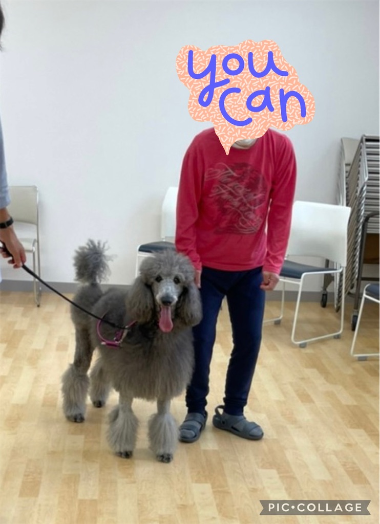 f:id:sakaivet2019:20220623182317j:image f:id:sakaivet2019:20220623182317j:image