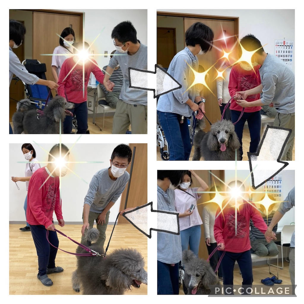 f:id:sakaivet2019:20220623184404j:image