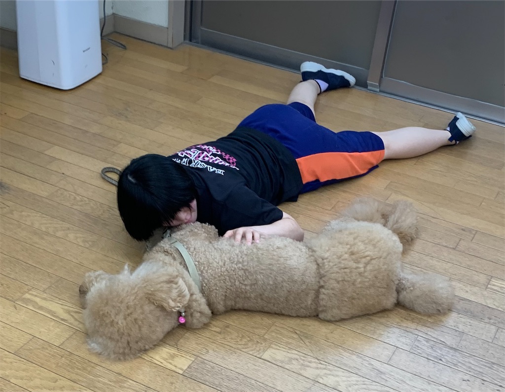 f:id:sakaivet2019:20220811133401j:image