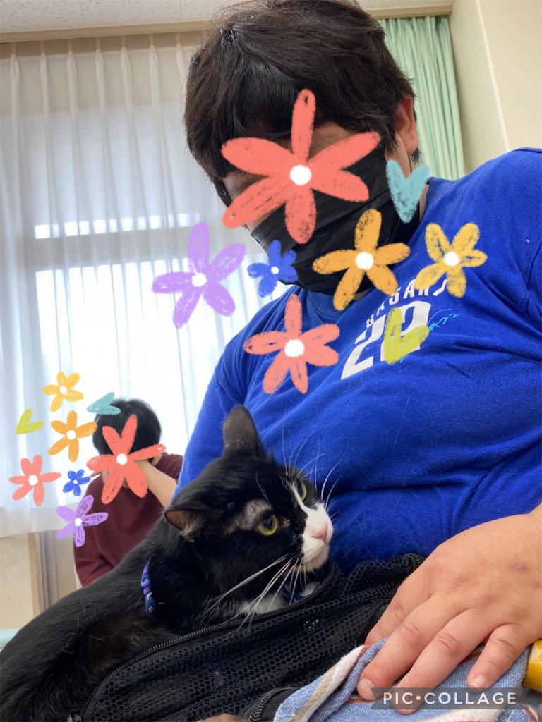f:id:sakaivet2019:20220811133406j:image
