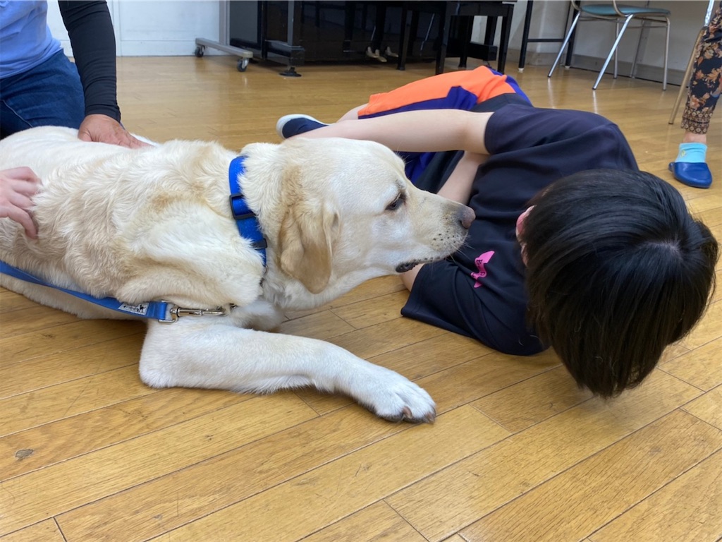 f:id:sakaivet2019:20220811133416j:image