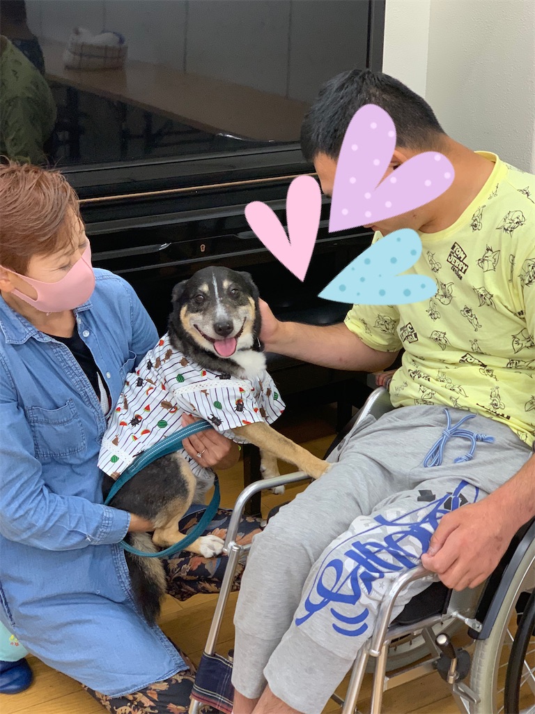 f:id:sakaivet2019:20220811133419j:image