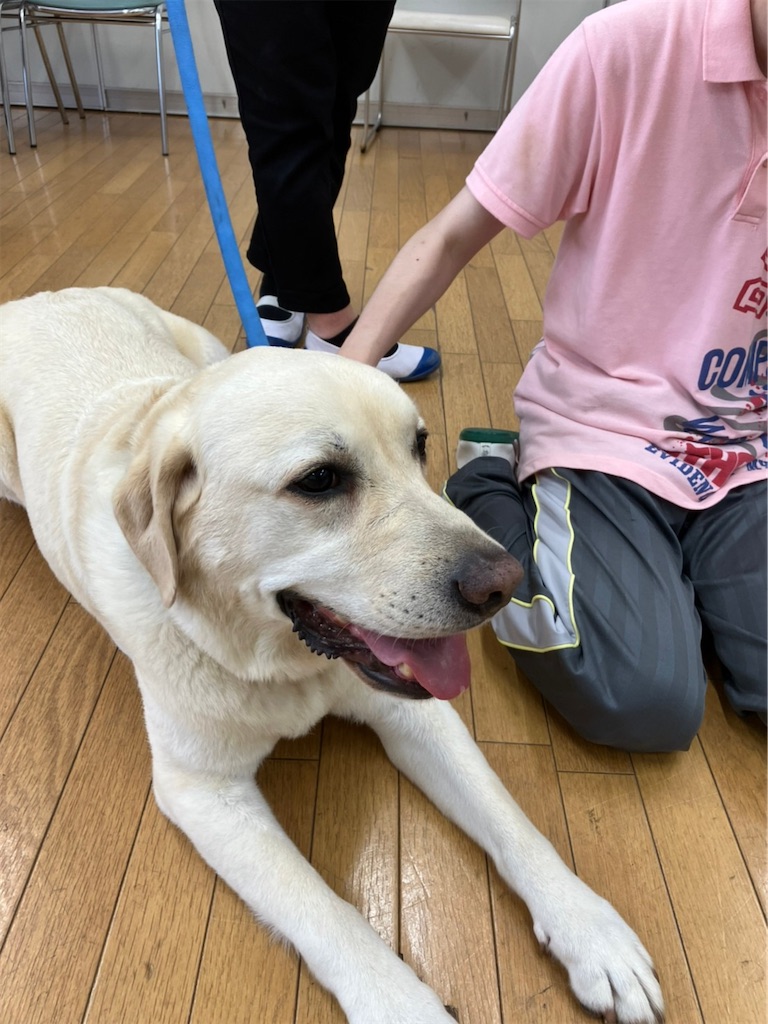 f:id:sakaivet2019:20220811141515j:image