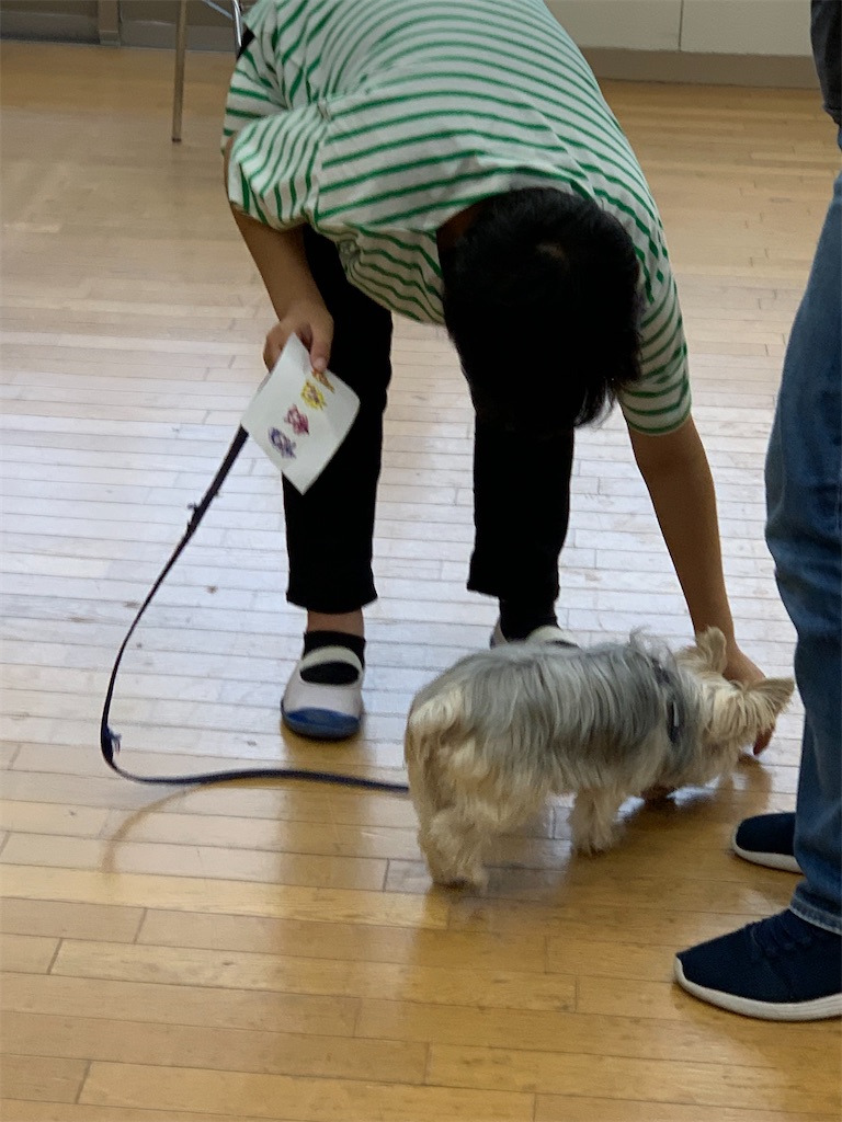 f:id:sakaivet2019:20220811141644j:image