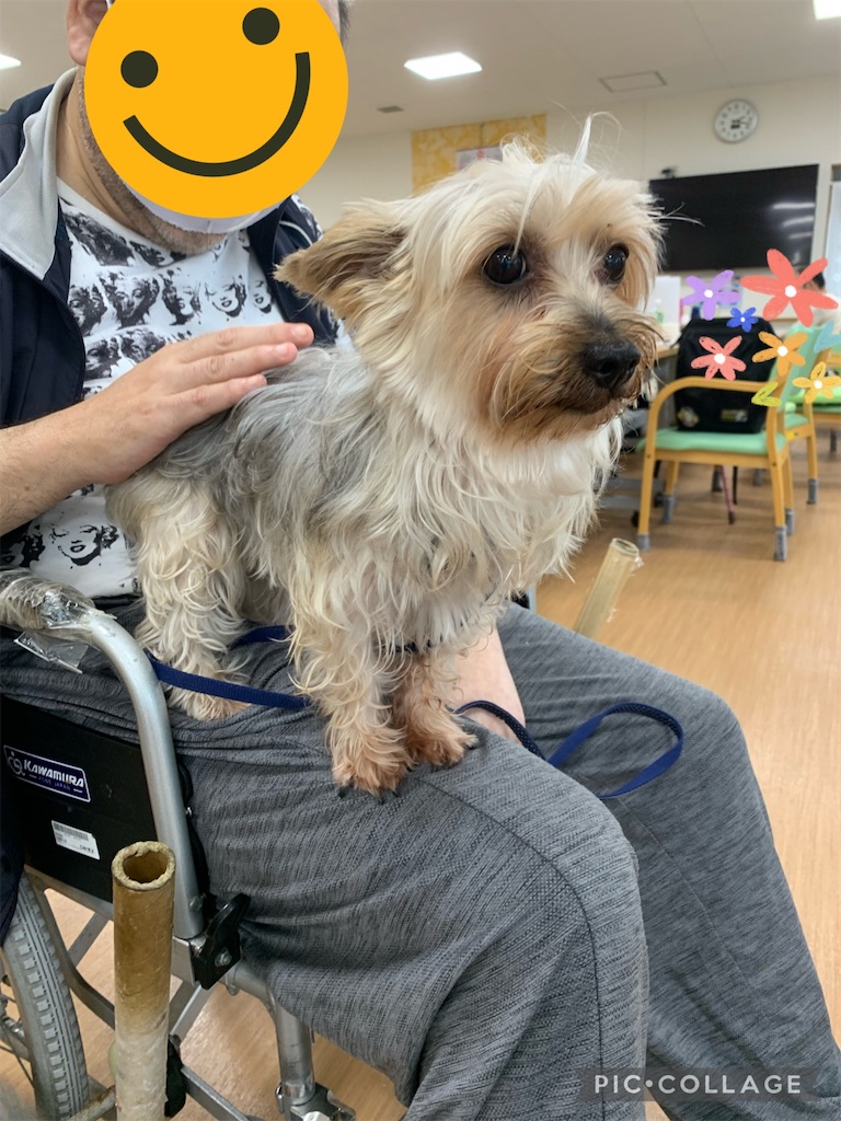 f:id:sakaivet2019:20221009130554j:image f:id:sakaivet2019:20221009130554j:image