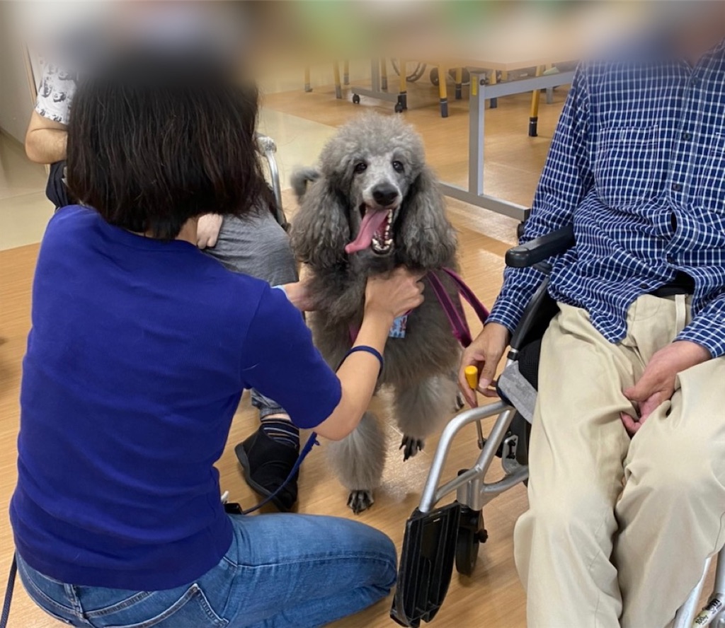 f:id:sakaivet2019:20221009130558j:image f:id:sakaivet2019:20221009130558j:image