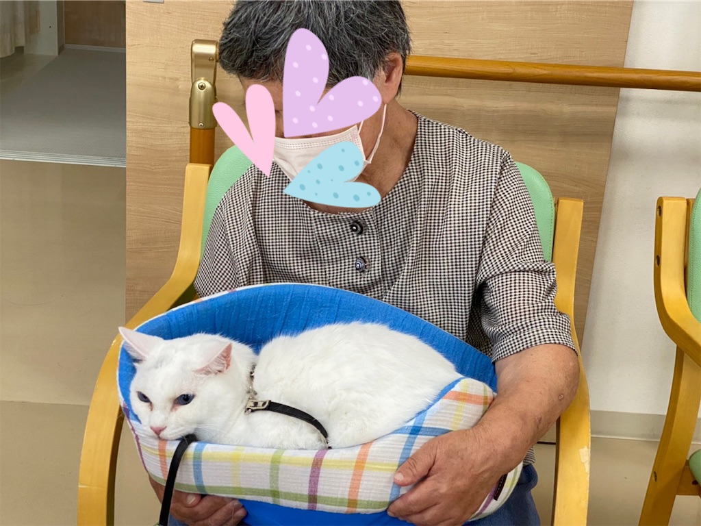f:id:sakaivet2019:20221009130601j:image f:id:sakaivet2019:20221009130601j:image
