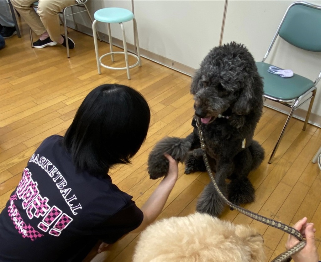 f:id:sakaivet2019:20221013164528j:image f:id:sakaivet2019:20221013164528j:image