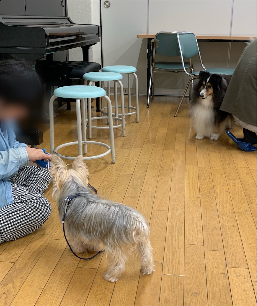 f:id:sakaivet2019:20221013164532j:image f:id:sakaivet2019:20221013164532j:image