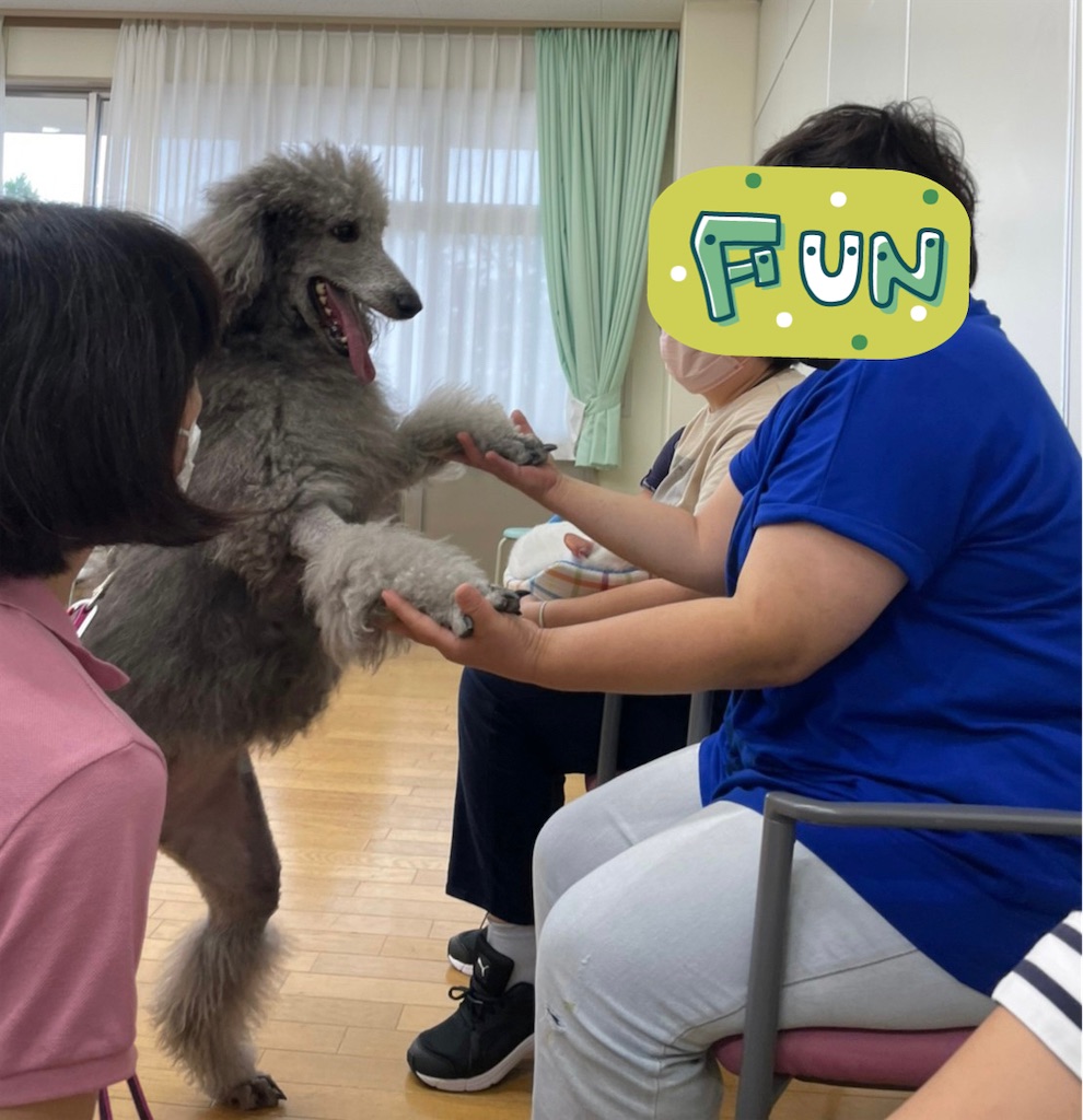 f:id:sakaivet2019:20221013164535j:image f:id:sakaivet2019:20221013164535j:image