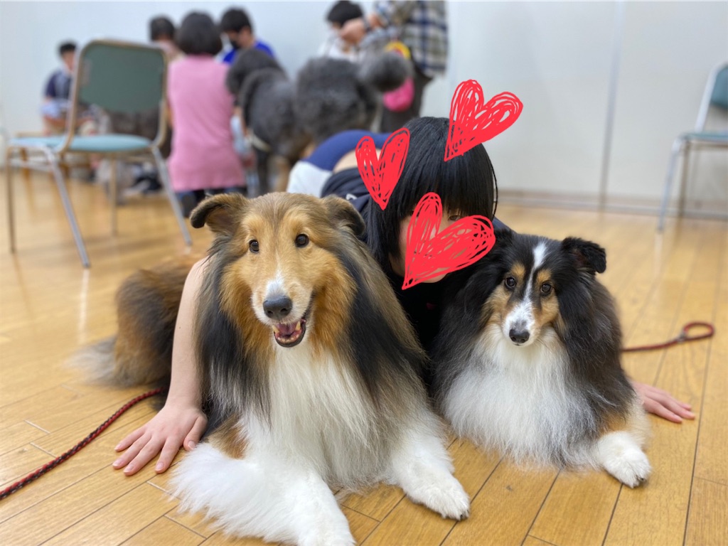 f:id:sakaivet2019:20221013164543j:image f:id:sakaivet2019:20221013164543j:image