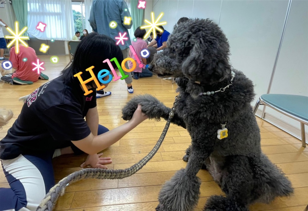 f:id:sakaivet2019:20221013164546j:image f:id:sakaivet2019:20221013164546j:image
