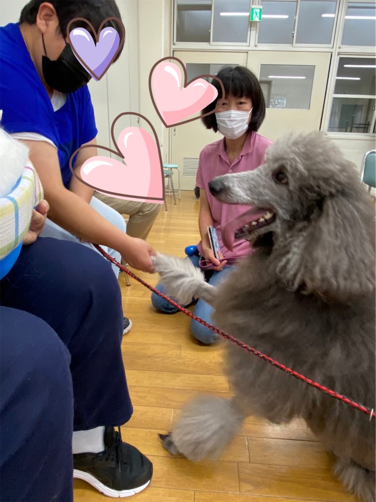f:id:sakaivet2019:20221013164549j:image f:id:sakaivet2019:20221013164549j:image