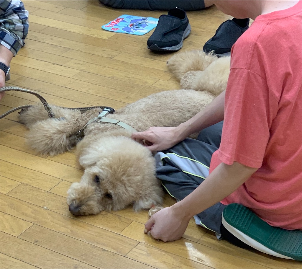 f:id:sakaivet2019:20221013164553j:image f:id:sakaivet2019:20221013164553j:image