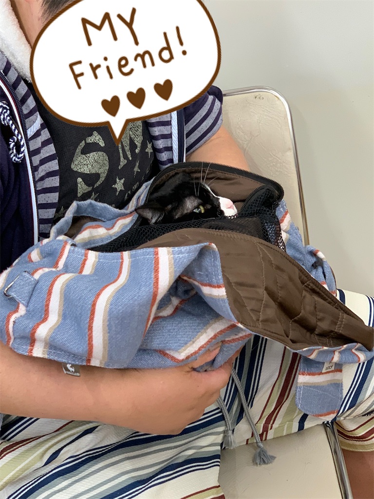 f:id:sakaivet2019:20221013164601j:image f:id:sakaivet2019:20221013164601j:image