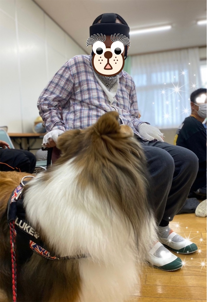 f:id:sakaivet2019:20221013164604j:image f:id:sakaivet2019:20221013164604j:image