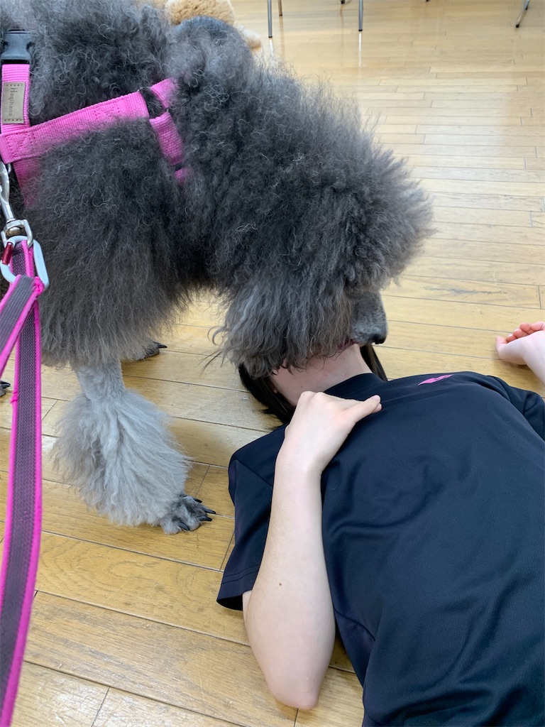 f:id:sakaivet2019:20221013164608j:image f:id:sakaivet2019:20221013164608j:image